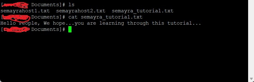 8 Practical Examples For Utilizing The Cat Command In Linux 5 Image 4