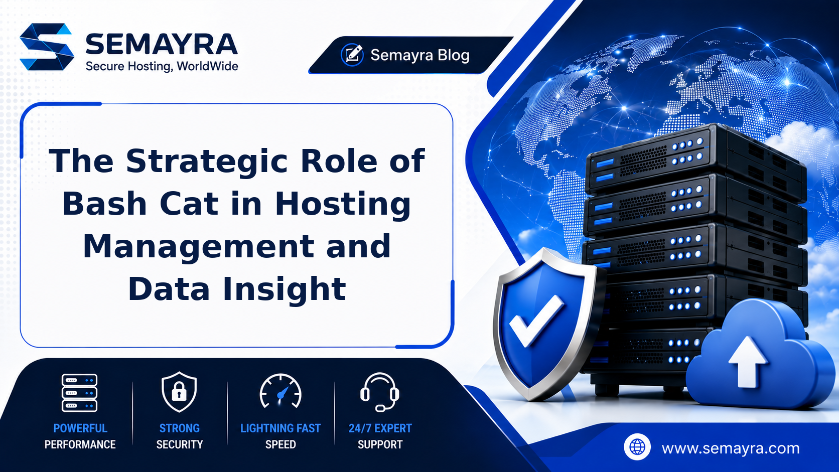 The Strategic Role of Bash Cat in Hosting Management and Data Insight